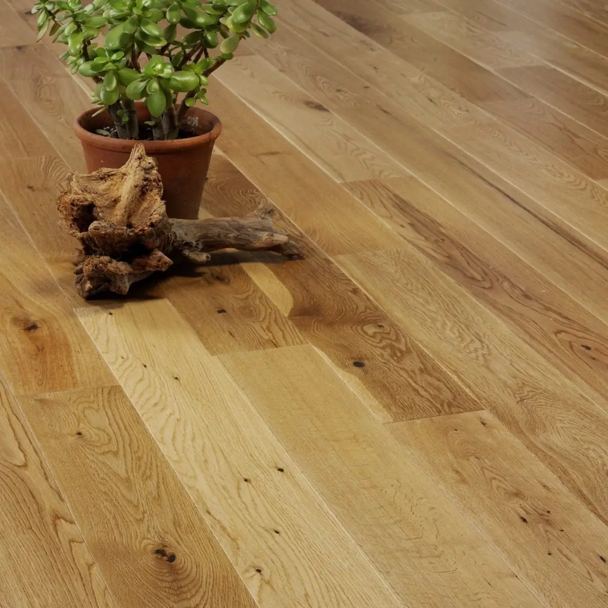 Augustus Engineered Oak Rustic Satin Lacquered VE13 Augustus Engineered Oak Rustic Satin Lacquered VE13